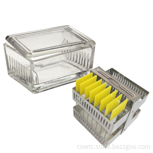 Microscope Accessory: Laboratory Glass Staining Jar Rack for Organizing and Storing Slides